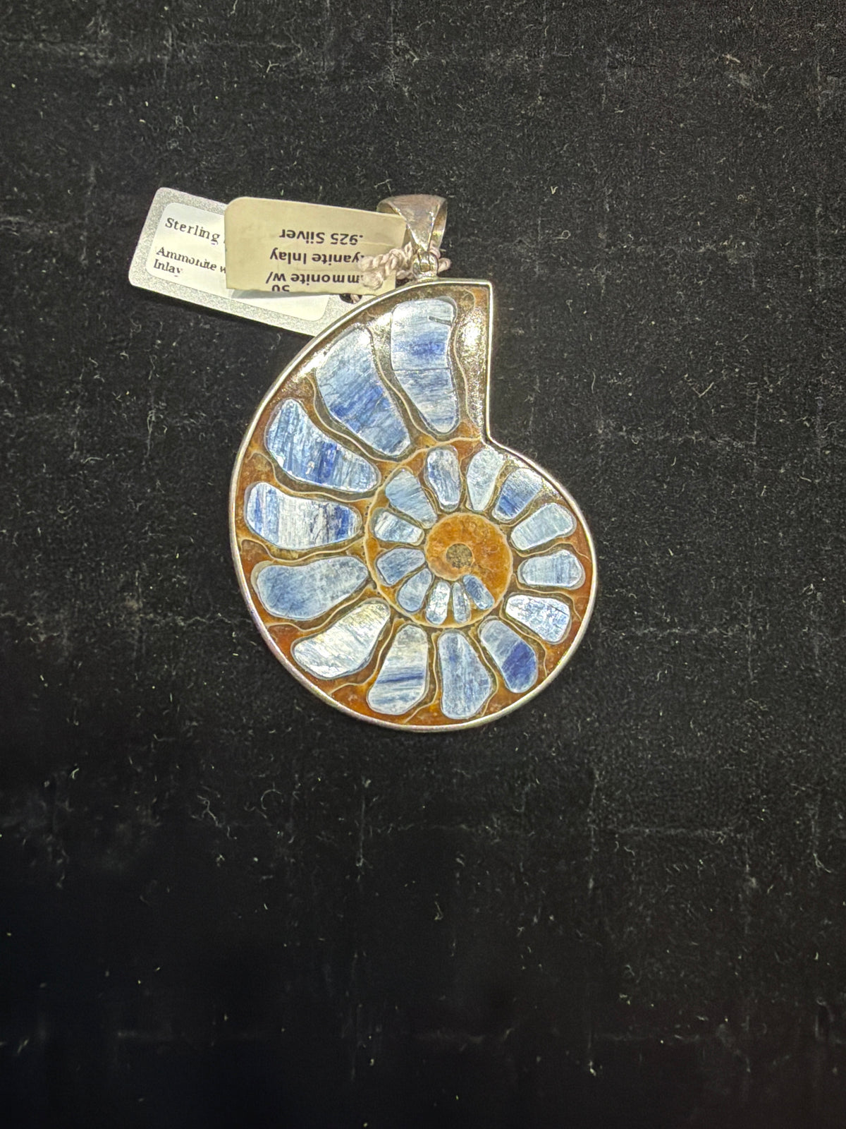 Ammonite W/ Kyanite Inlay .925 Sterling Silver Pendant