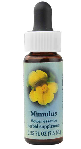 Dr. Edward Bach Mimulus Flower Essence Herbal Supplement - 0.25 fl oz at Namaste Bookshop near Union Square, NYC