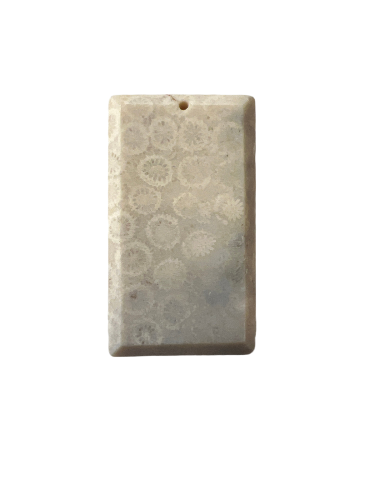 Coral Fossil Slab Crystal