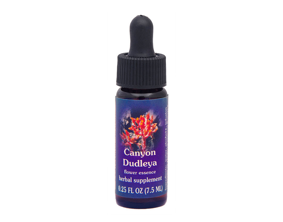 Biodynamic Canyon Dudleya Flower Essence Herbal Supplement