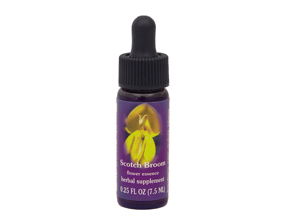 Biodynamic Scotch Broom Flower Essence Herbal Supplement