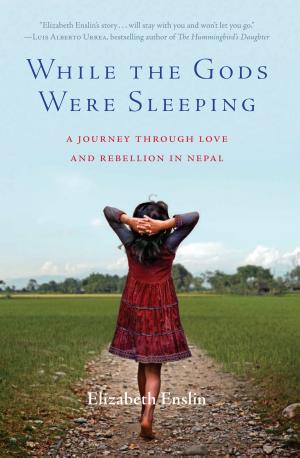 While the Gods Were Sleeping by Elizabeth Enslin