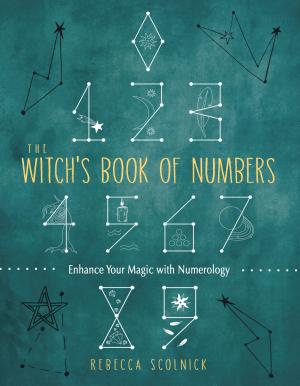 The Witch's Book of Numbers by Rebecca Scolnick