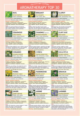 Aromatherapy Top 30 Info Chart 10x7"