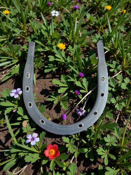 Iron Horseshoe 10 cm – Traditional Good Luck & Protection Ritual Decor