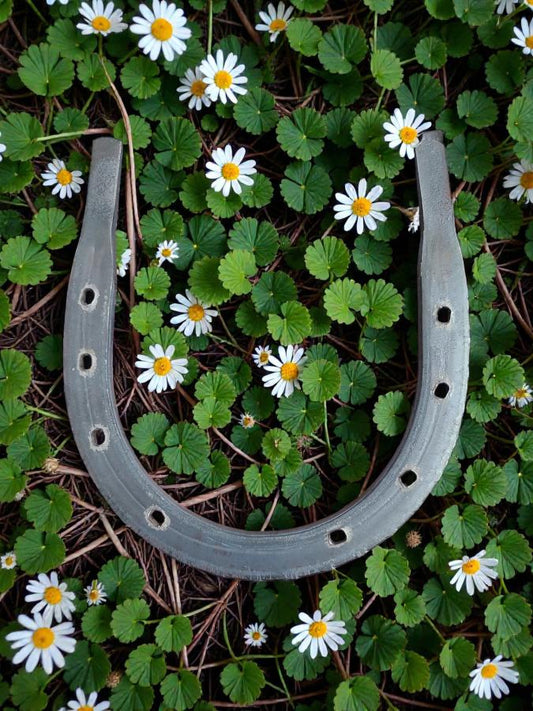 Iron Horseshoe 14 cm – Traditional Good Luck & Protection Ritual Decor