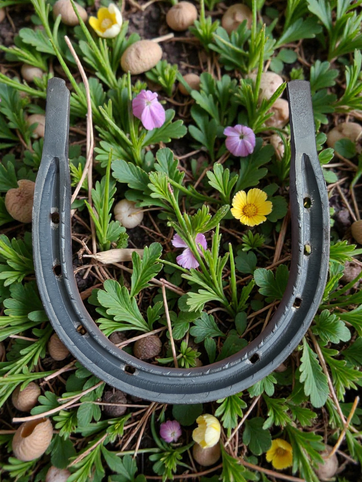 Iron Horseshoe 14 cm – Traditional Good Luck & Protection Ritual Decor