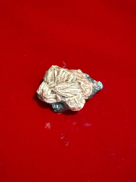 Barite with Galena Moro Stone, specimen at Namaste Bookshop near Union Square, NYC