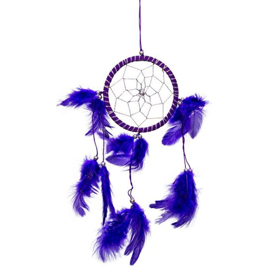 Small Purple Feathers Dreamcatcher