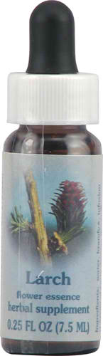 Dr. Edward Bach Larch Flower Essence Herbal Supplement - 0.25 fl oz at Namaste Bookshop near Union Square, NYC