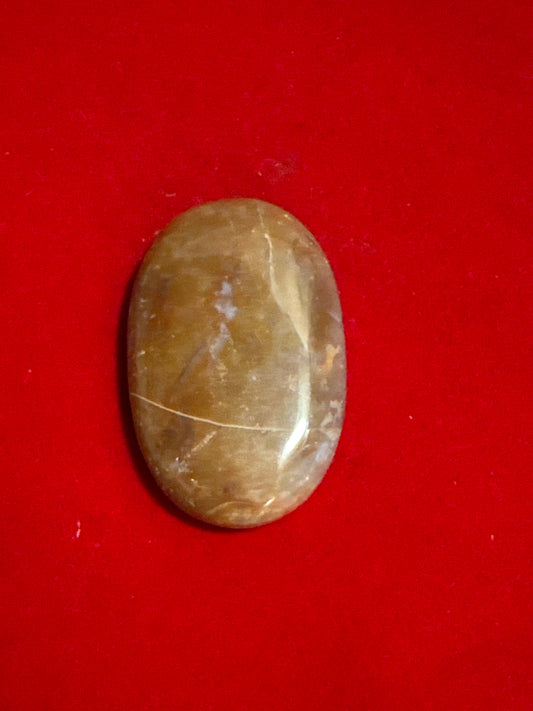 Fancy Jasper Palm Stone