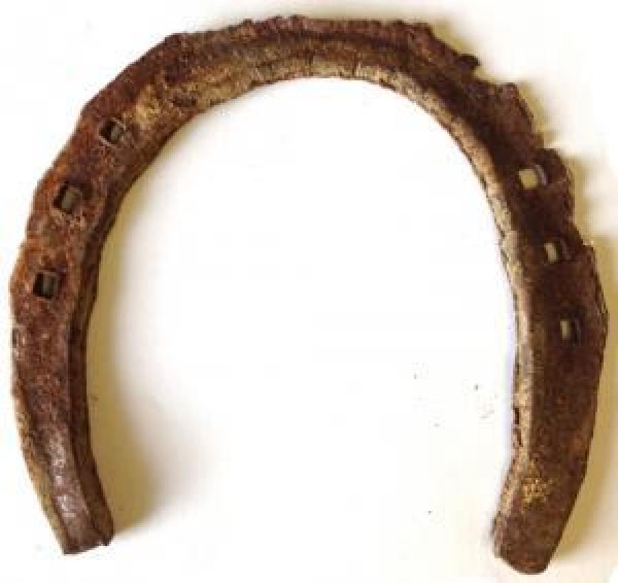 Genuine Used Horseshoe (Size varies)