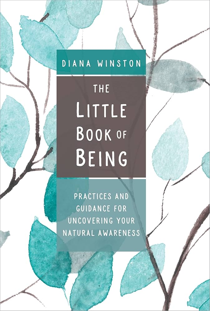 Little Book of Being by Diana Winston – a gentle guide to awakening mindfulness and discovering your natural state of awareness.
