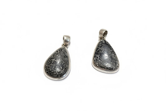 Dinosaur Bone Sterling Silver Pendant