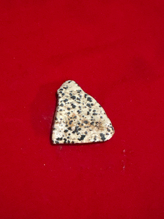 Dalmatian Jasper