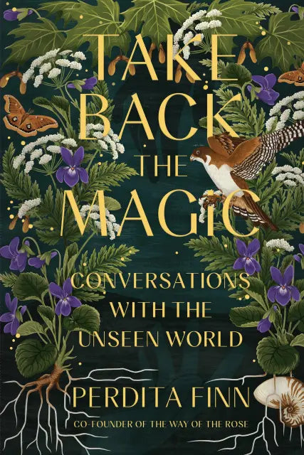 Take Back the Magic: Conversations with the Unseen World By Perdita Finn