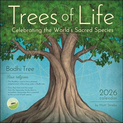 Trees of Life 2026 Wall Calendar By Matt Strieby