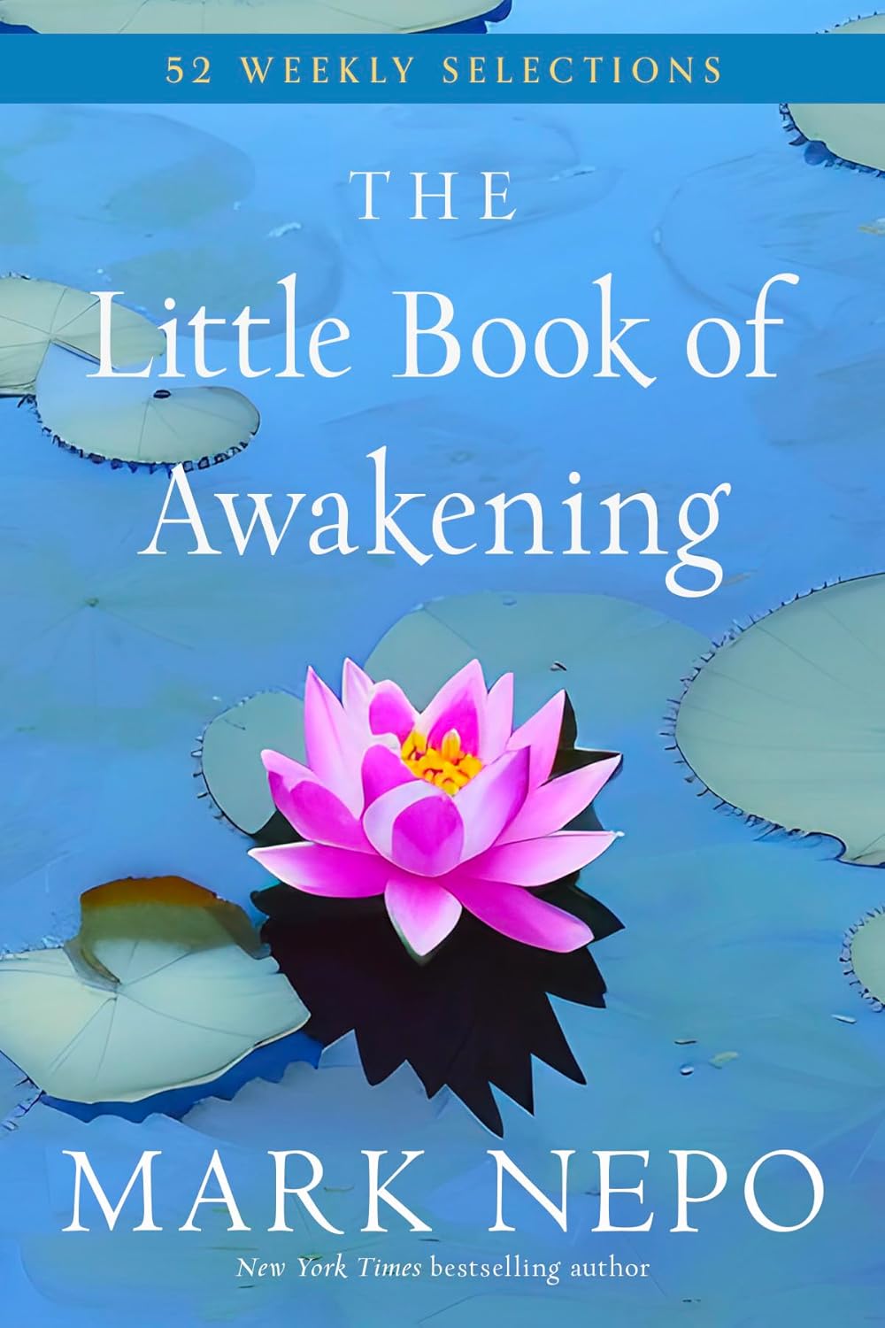 Little Book of Awakening by Mark Nepo