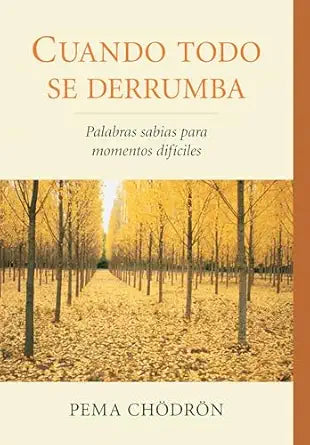 Cuando todo se derrumba (When Things Fall Apart): Palabras sabias para momentos dificiles (La Colleccion De Pema Chodron) By Pema Chodron