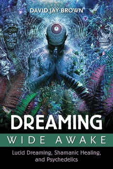 Dreaming Wide Awake Lucid Dreaming, Shamanic Healing, and Psychedelics By David Jay Brown
