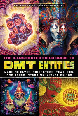 Illustrated Field Guide to DMT Entities: Machine Elves, Tricksters, Teachers, and Other Interdimensional Beings by David Jay Brown & Sara Phinn Huntley