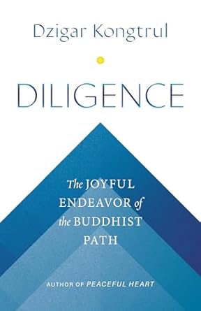 Diligence: The Joyful Endeavor of the Buddhist Path by Dzigar Kongtrul