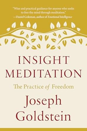 Insight Meditation: The Practice of Freedom by Joseph Goldstein