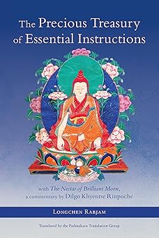 Precious Treasury of Essential Instructions: Explanations on the Treasury of Essential Instructions of Gyalwa Longchen Rabjam by Longchenpa