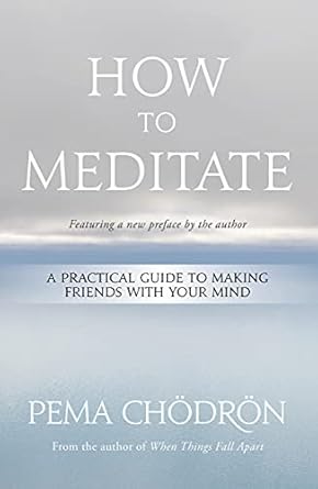 How to Meditate: A Practical Guide to Making Friends with Your Mind by Pema Chodron