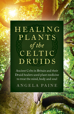 Healing Plants of the Celtic Druids Ancient Celts in Britain and their Druid: Healers Used Plant Medicine to Treat the Mind, Body and Soul By Angela Paine