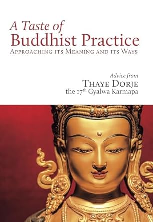 A Taste of Buddhist Practice: Approaching its Meaning and Its Ways by Thaye Dorje