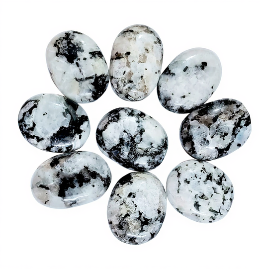Rainbow Moonstone Palm Stone Gallet 2" India