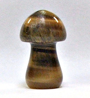 Tiger Eye 35mm Mushroom