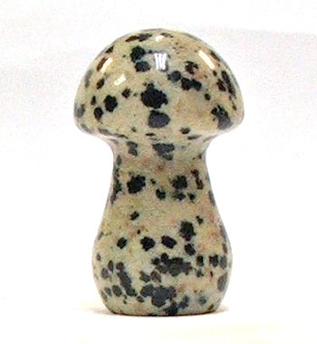 Dalmatian Jasper 35mm Mushroom