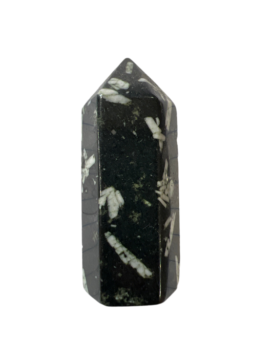 Chinese Writing Stone California Tower - Tumbled