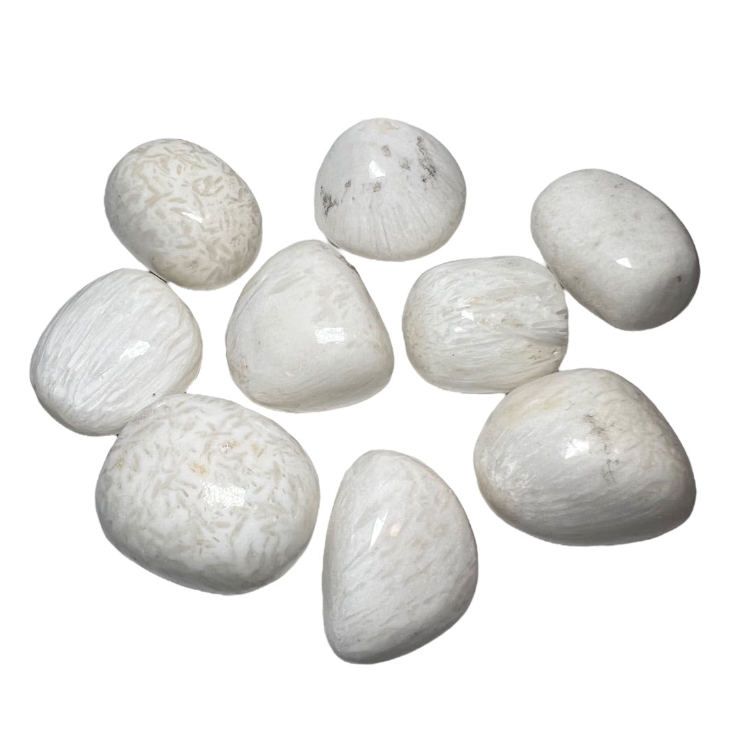 Scolecite Crystal Tumbled, tumbled stone at Namaste Bookshop near Union Square, NYC