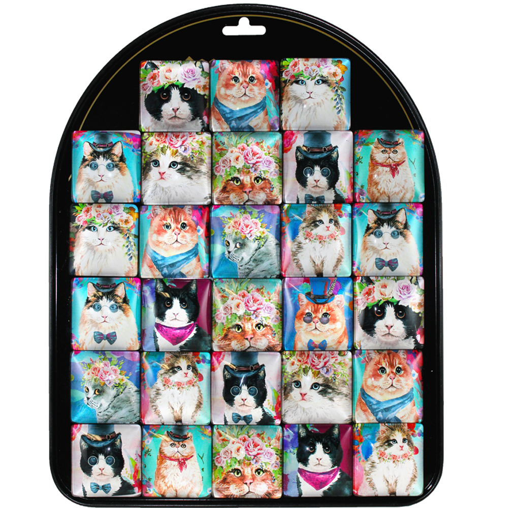 Cats On Parade Magnet Assortment