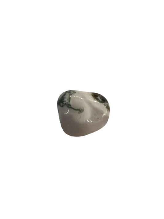 Natural Tree Agate Crystal