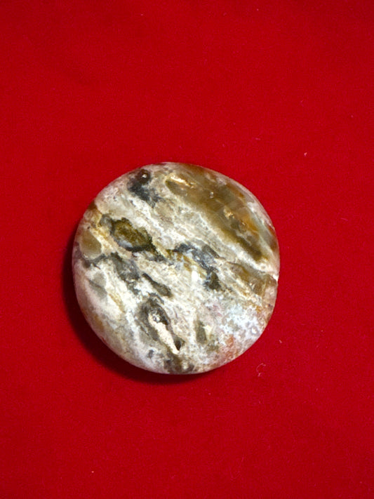 Ocean Orbicular Jasper Palmstone Gallet