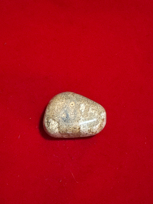 Jumbo Tumbled Stone