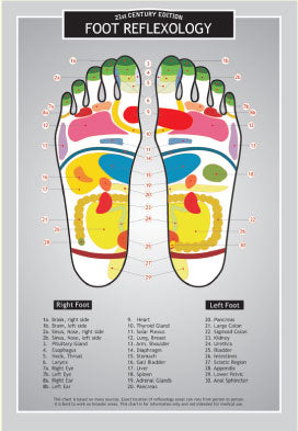 Foot Reflexology Info Charts 10x7"