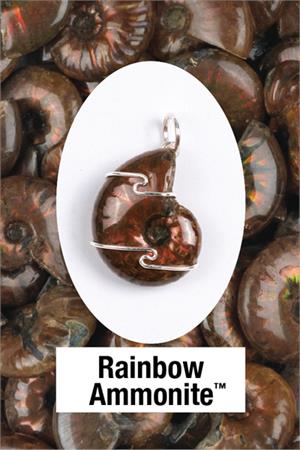 Rainbow Ammonite Fossil SS Wire Wrap Pendant