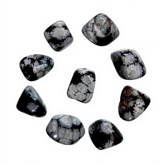 Snowflake Obsidian Tumbled 20-35MM - Utah, United States