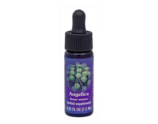 Biodynamic Angelica Flower Essence Herbal Supplement