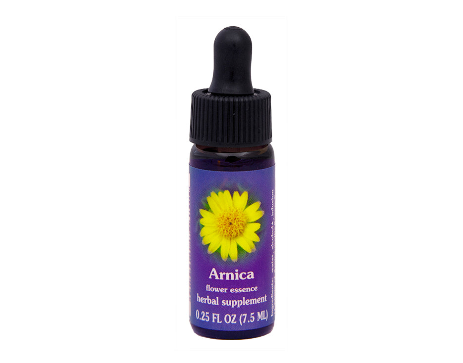 Biodynamic Arnica Flower Essence Herbal Supplement