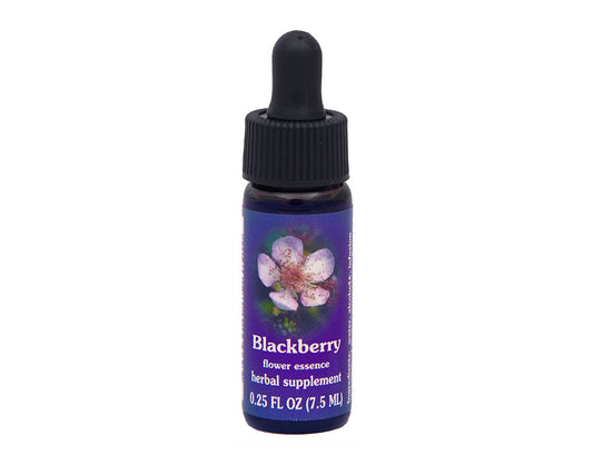 Biodynamic Blackberry Flower Essence Herbal Supplement