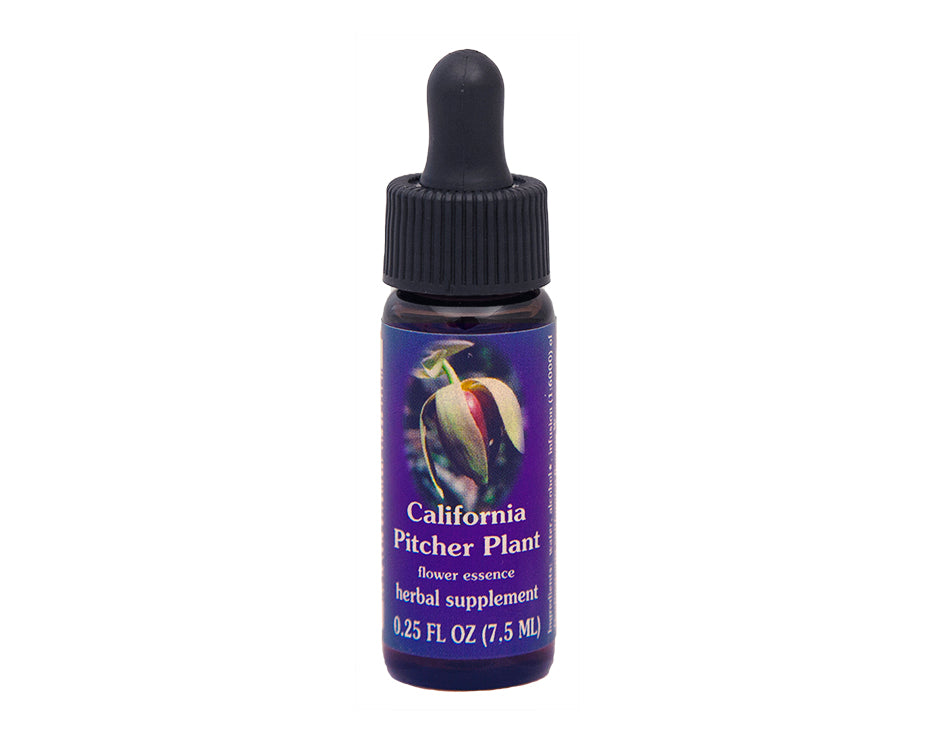 Biodynamic California Pitcher Plant Flower Essence Herbal Supplement