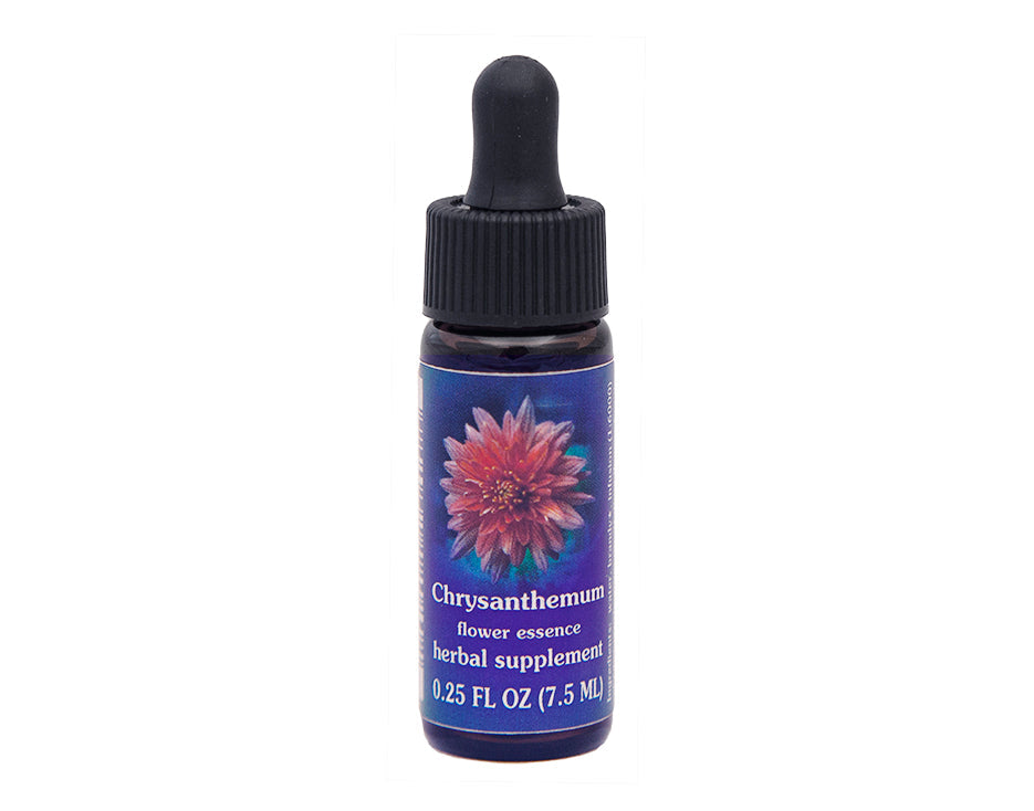 Biodynamic Chrysanthemum Flower Essence Herbal Supplement