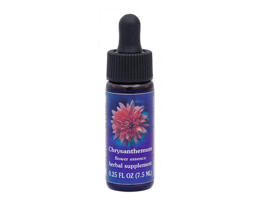 Biodynamic Chrysanthemum Flower Essence Herbal Supplement