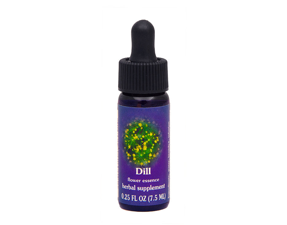 Biodynamic Dill Flower Essence Herbal Supplement
